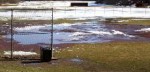 Playing ball in a field of water