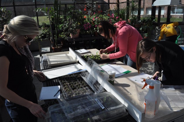 The diversity of the greenhouse