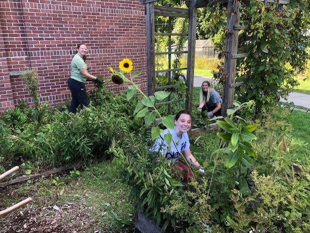 Garden Club devotes time to greening up Jeffords Hall