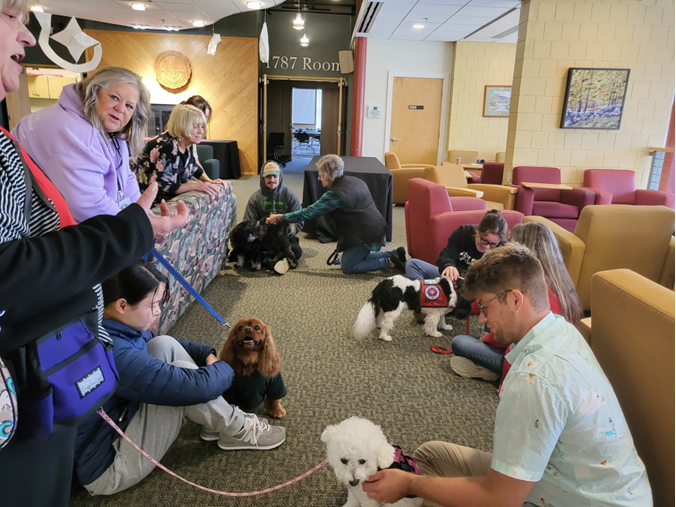 Therapy dogs help to heal